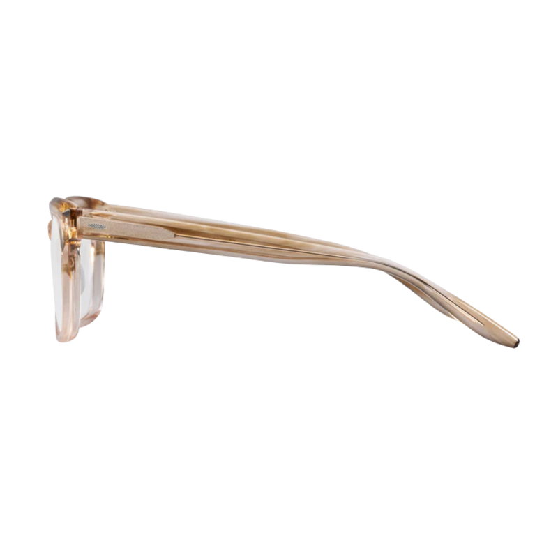 Barton Perreira glasses 