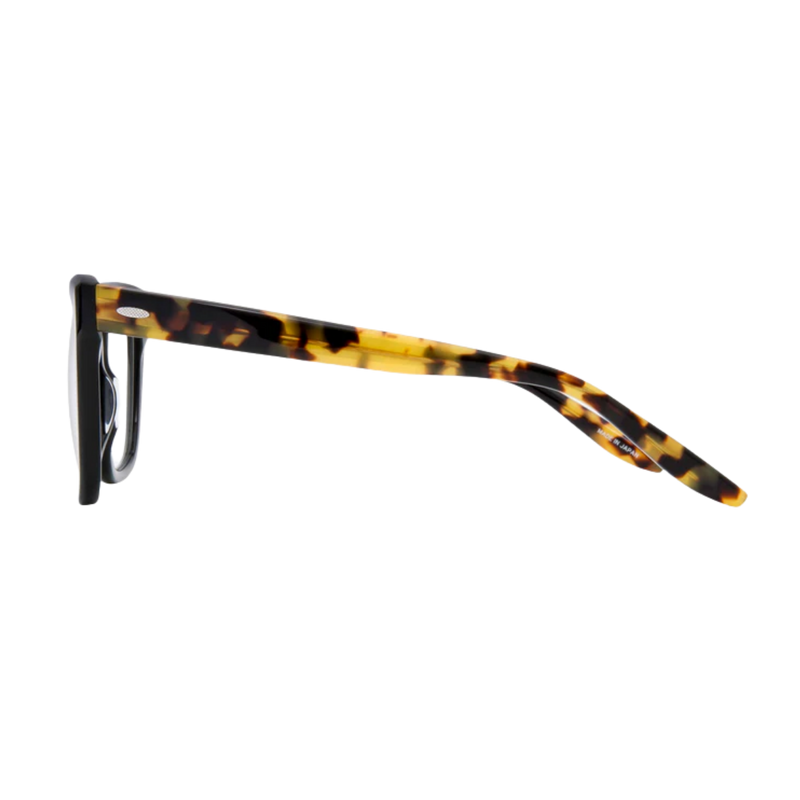 Barton Perreira frames London Opticians 