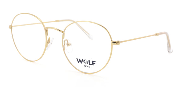 Childrens and Teens Glasses - Wolf T029